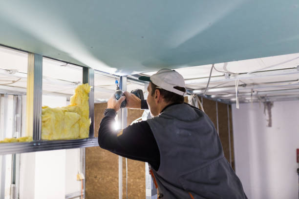 Best Blown-in Insulation in Winterville, NC