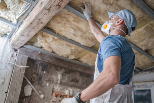 Best Insulation Maintenance and Repair in Winterville, NC