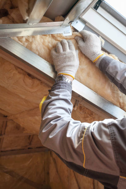 Types of Insulation We Offer in Winterville, NC