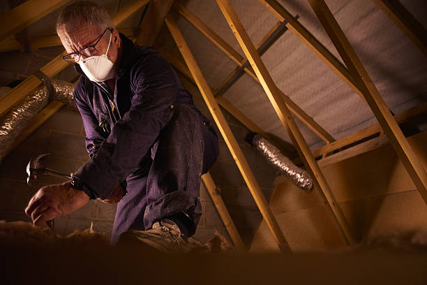 Best Eco-Friendly Insulation in Winterville, NC