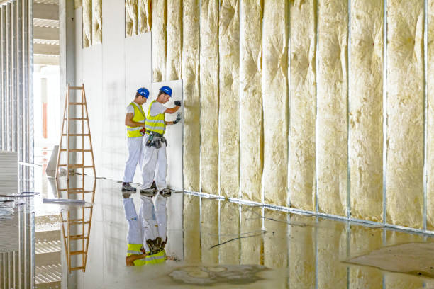 Best Commercial Insulation in Winterville, NC